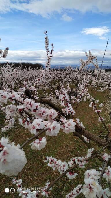 Le Gite De La Vieille Pierre 'Climatise' Villa Allex Bagian luar foto