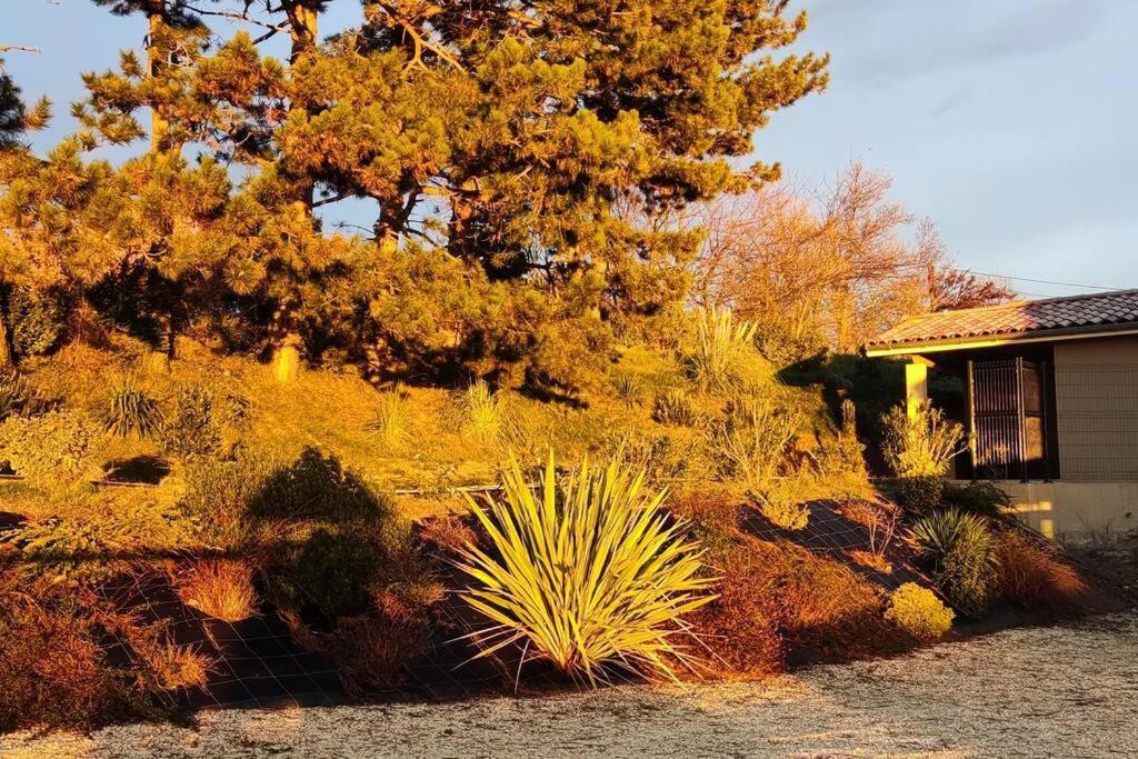 Le Gite De La Vieille Pierre 'Climatise' Villa Allex Bagian luar foto