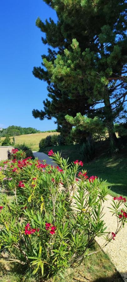 Le Gite De La Vieille Pierre 'Climatise' Villa Allex Bagian luar foto